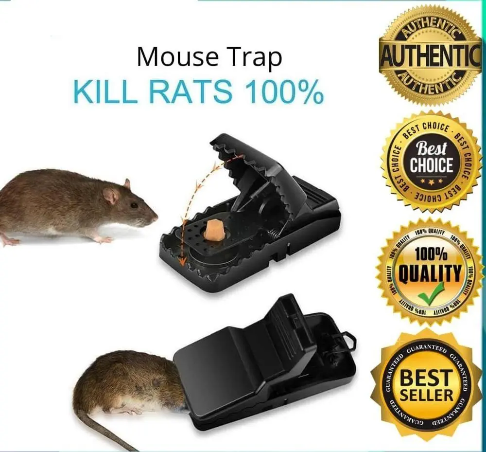 1748419395648.webp